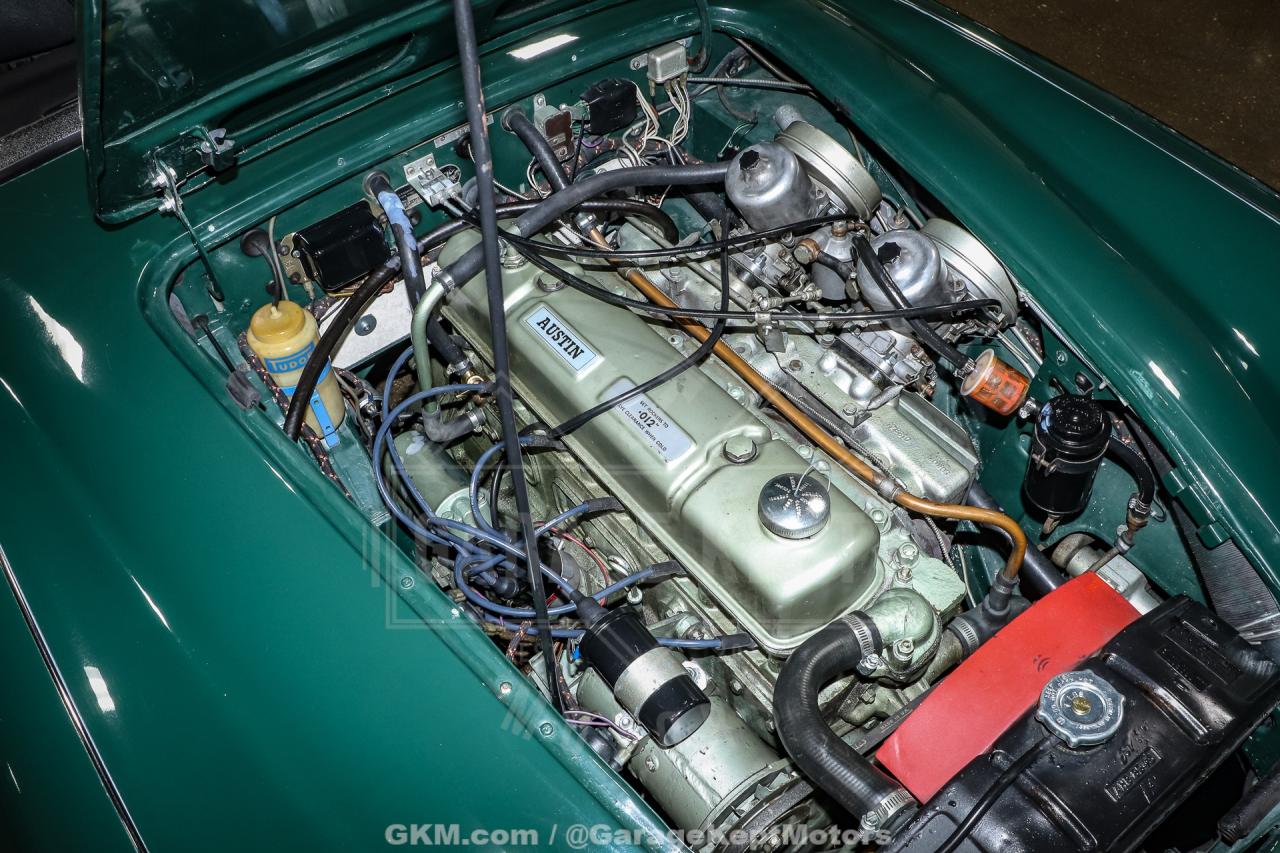 1967 Austin - Healey 3000