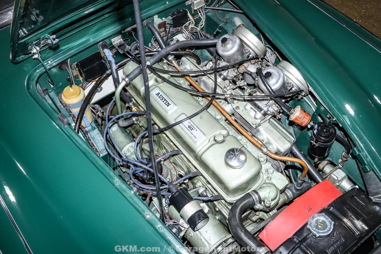 1967 Austin - Healey 3000