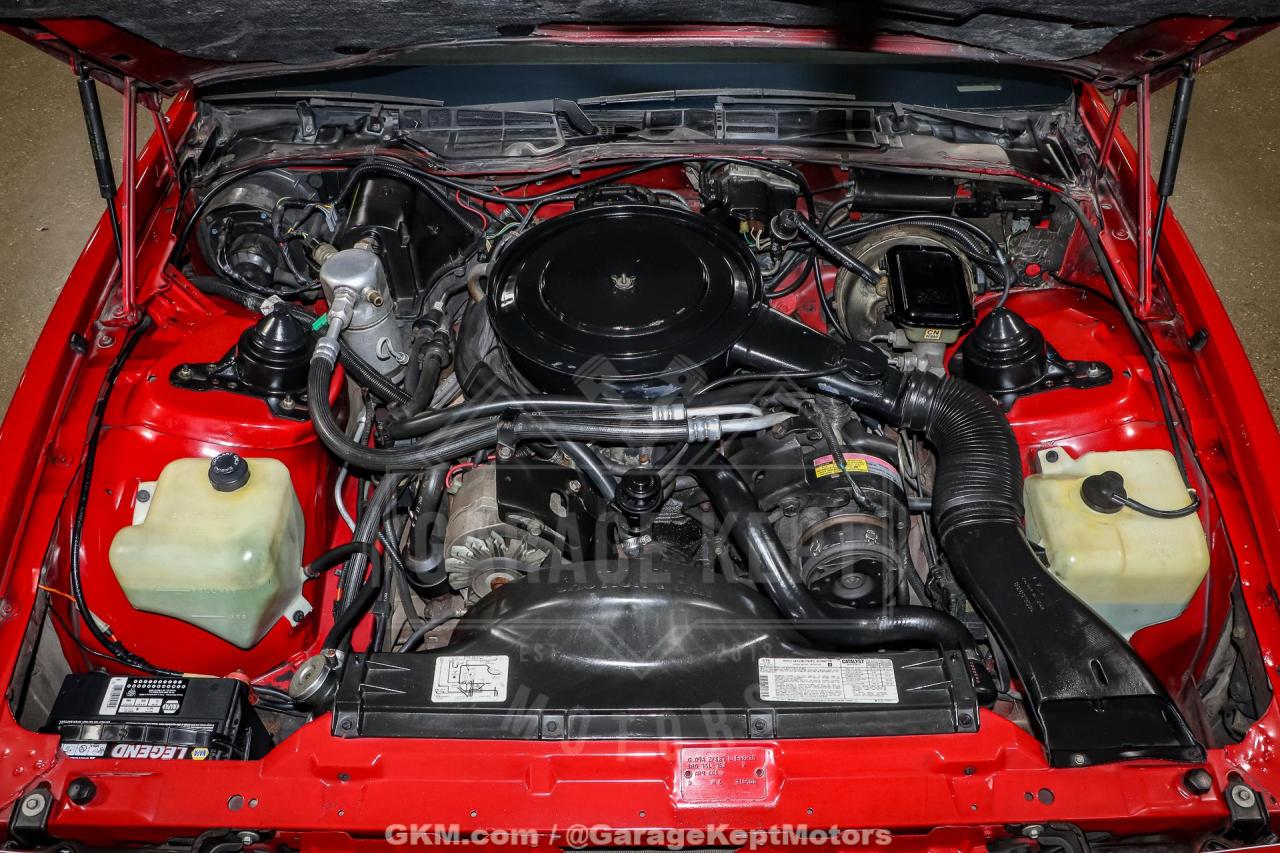 1982 Pontiac Firebird Trans Am