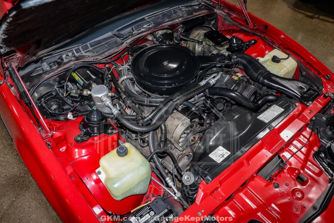 1982 Pontiac Firebird Trans Am