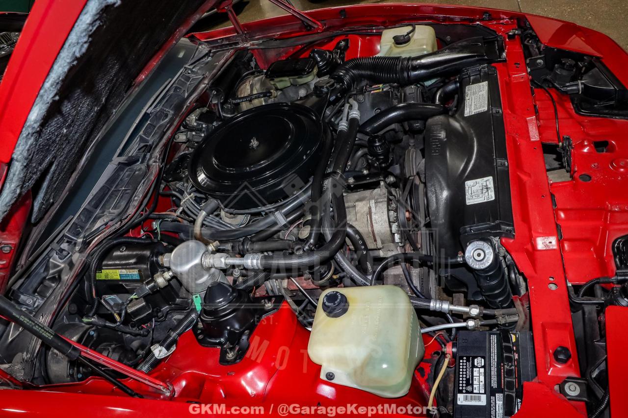 1982 Pontiac Firebird Trans Am