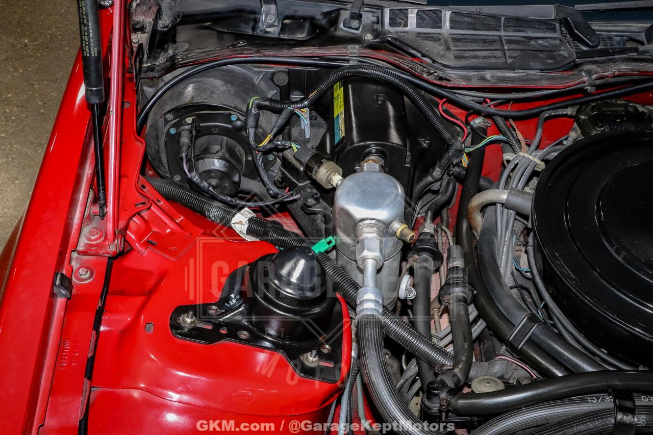 1982 Pontiac Firebird Trans Am