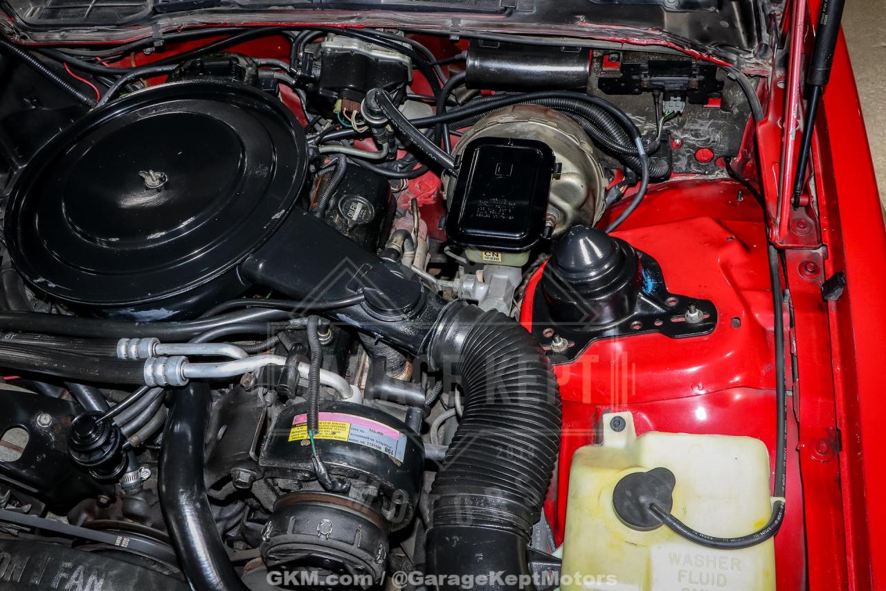 1982 Pontiac Firebird Trans Am