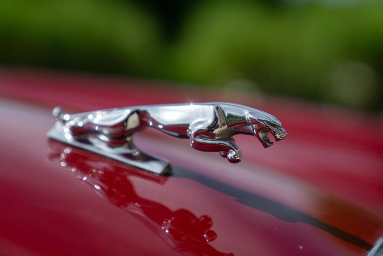 1981 Jaguar XJ6 4.2 MANUALE