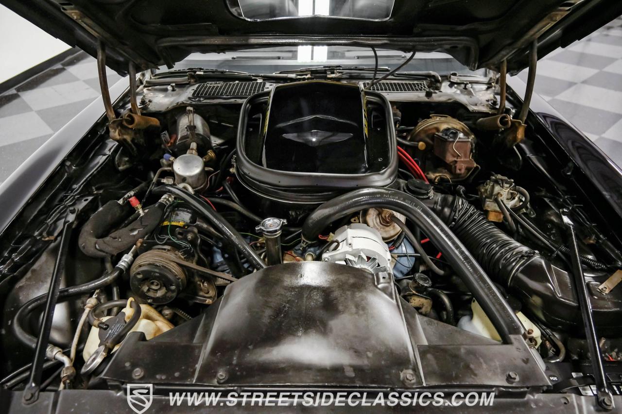 1979 Pontiac Firebird Trans Am Y84 Special Edition