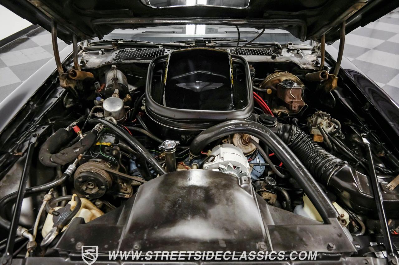 1979 Pontiac Firebird Trans Am Y84 Special Edition