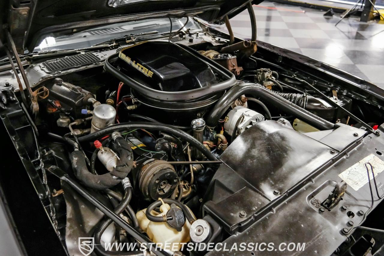 1979 Pontiac Firebird Trans Am Y84 Special Edition