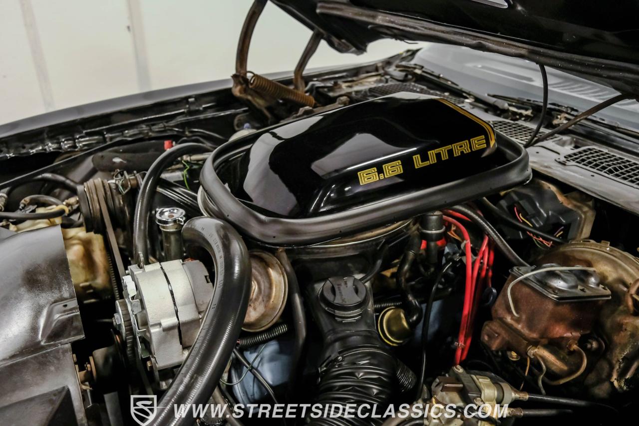 1979 Pontiac Firebird Trans Am Y84 Special Edition