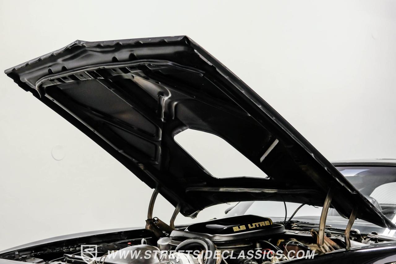 1979 Pontiac Firebird Trans Am Y84 Special Edition