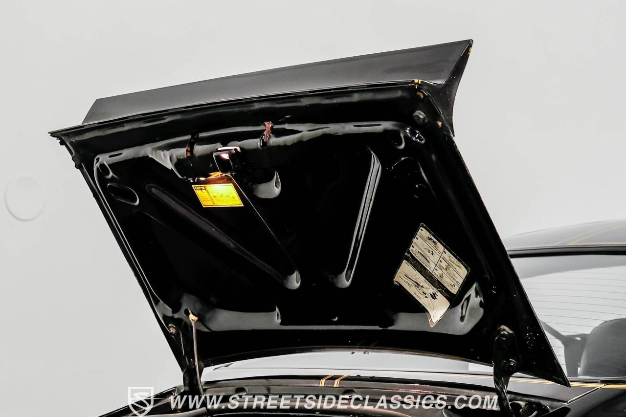 1979 Pontiac Firebird Trans Am Y84 Special Edition