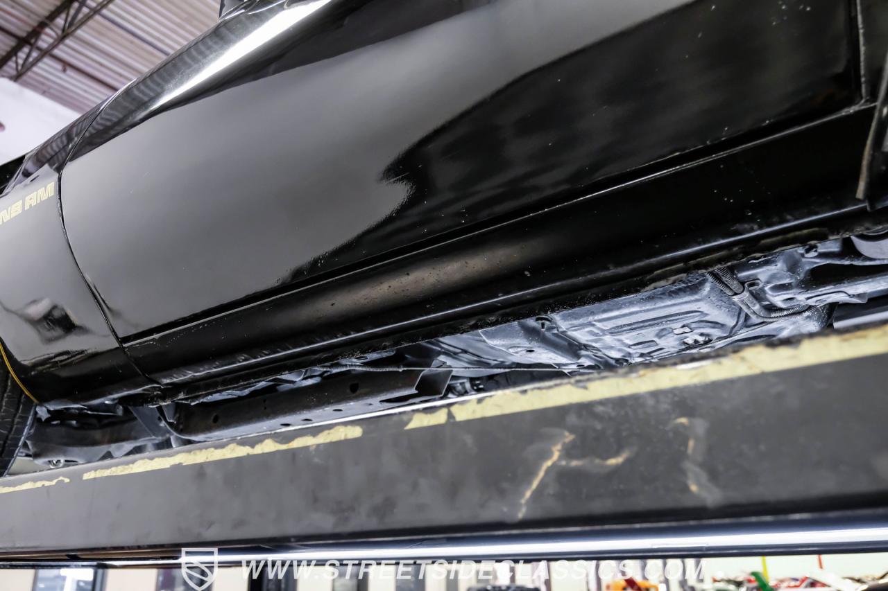 1979 Pontiac Firebird Trans Am Y84 Special Edition