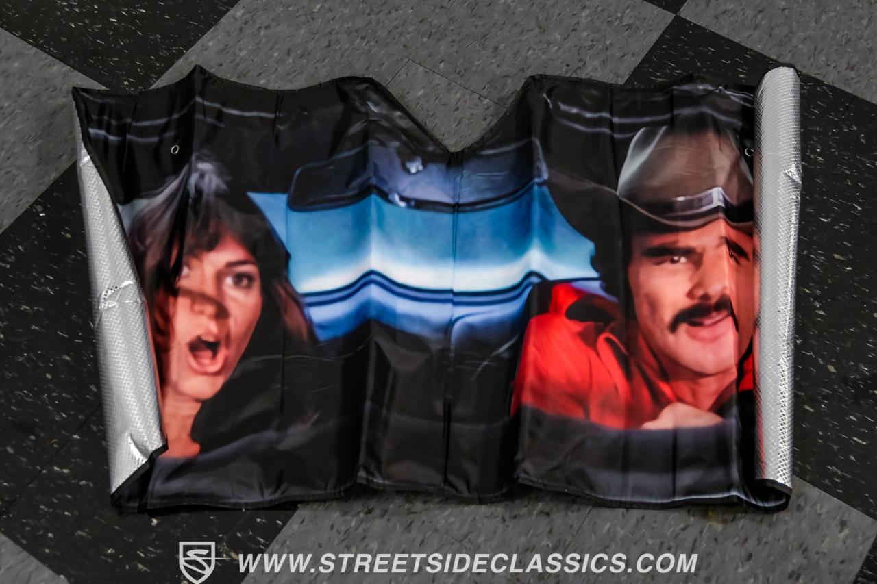 1979 Pontiac Firebird Trans Am Y84 Special Edition