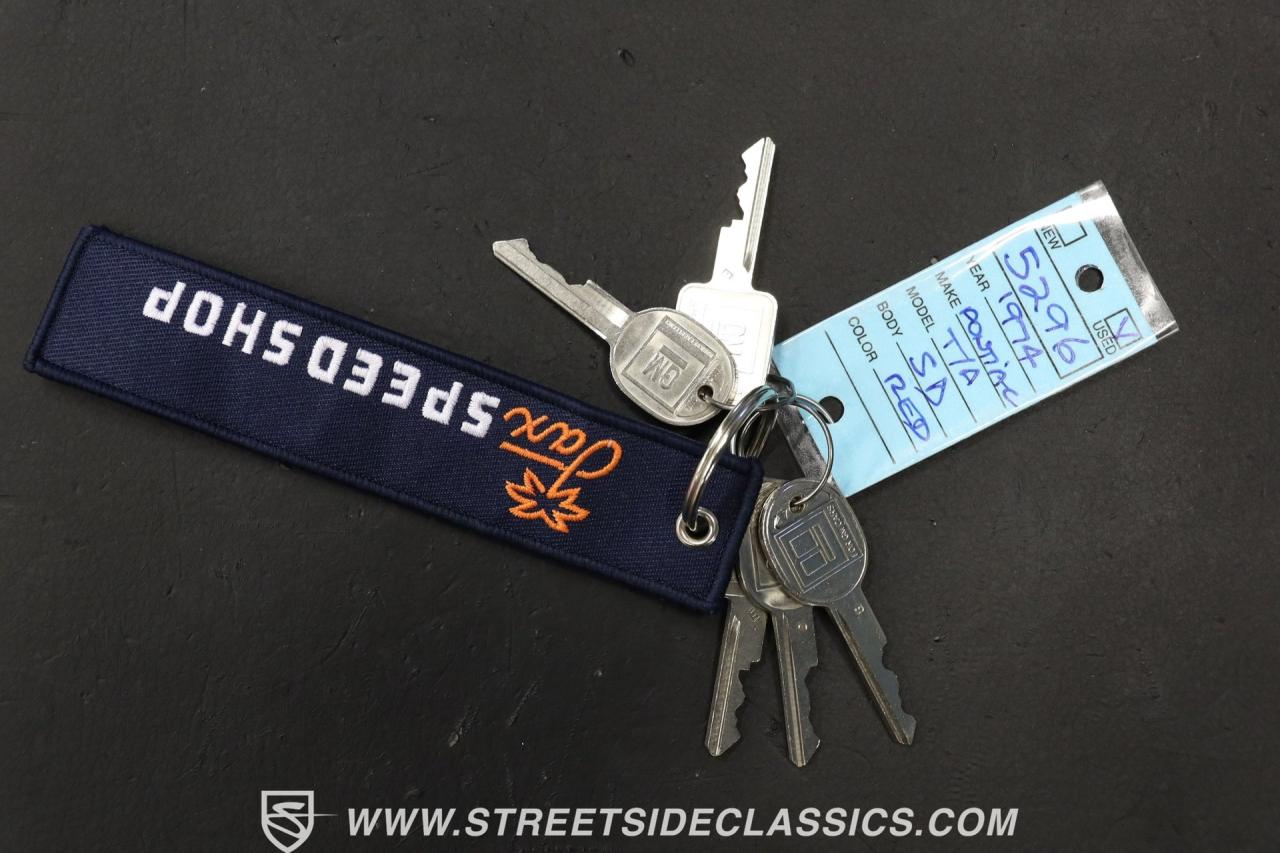 1974 Pontiac Firebird Trans Am Tribute Restomod