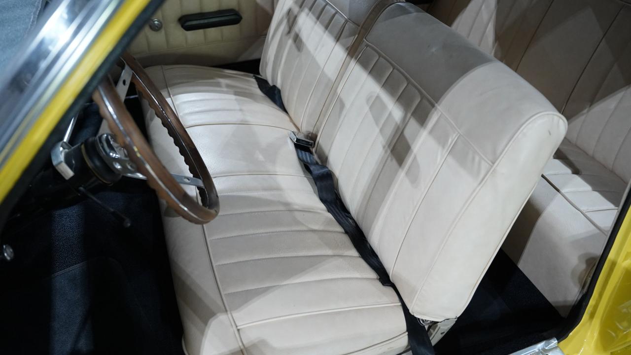 1966 Ford Fairlane 500