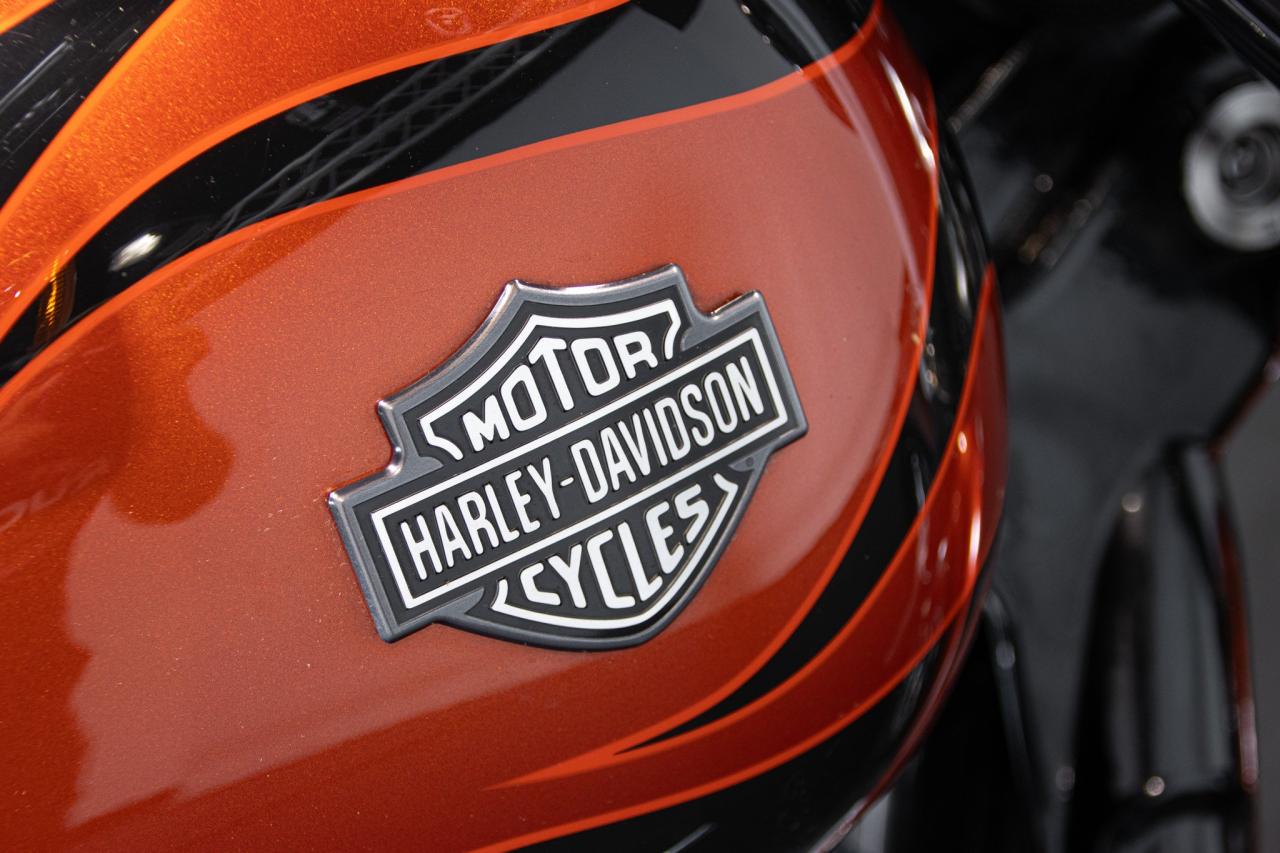 2010 Harley Davidson DYNA WYDE GLIDE