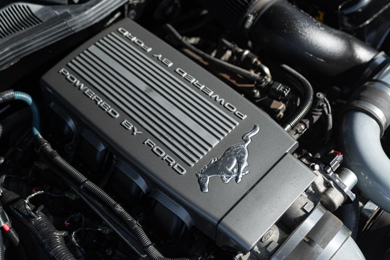 2007 Ford MUSTANG CERVINI C-500