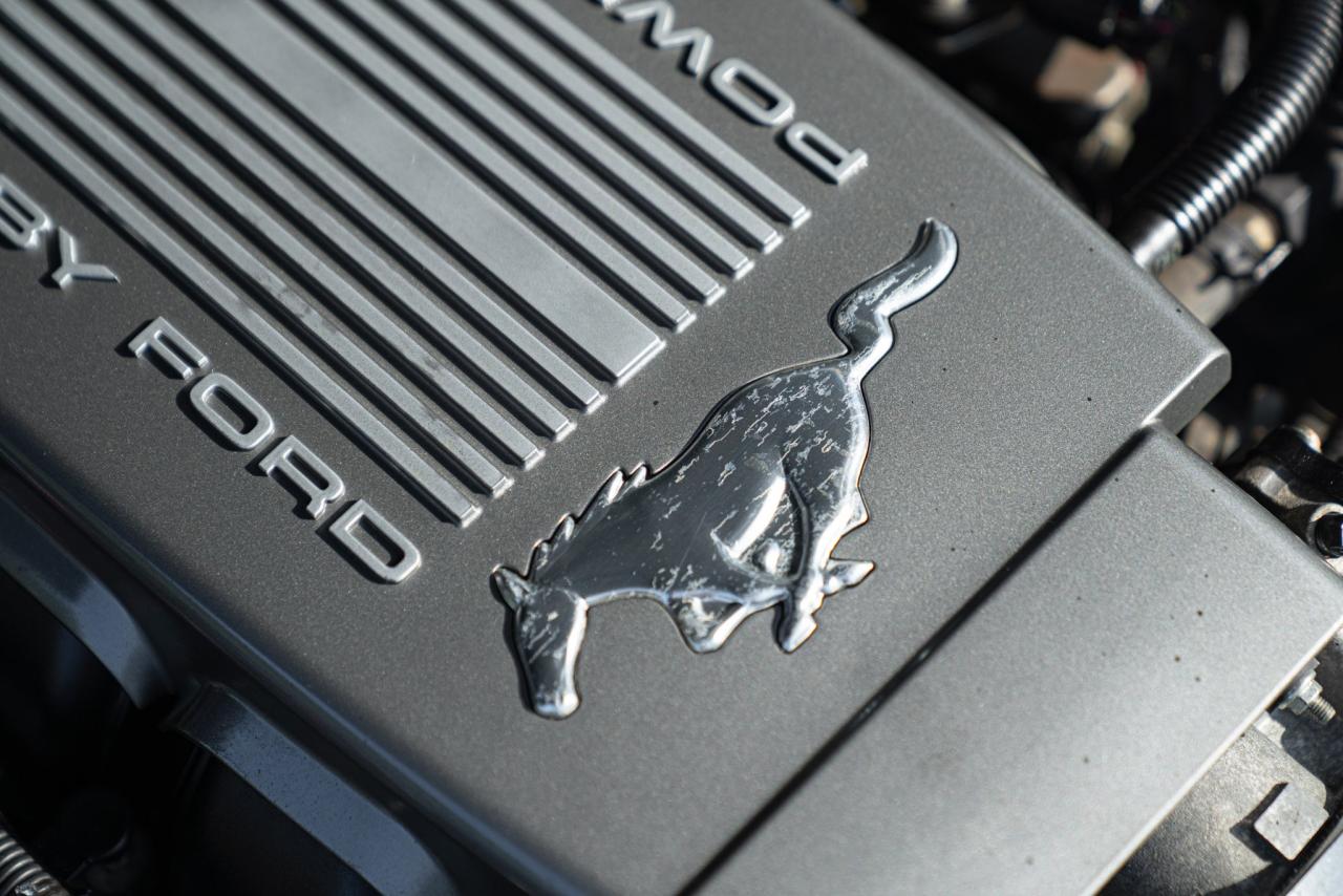 2007 Ford MUSTANG CERVINI C-500