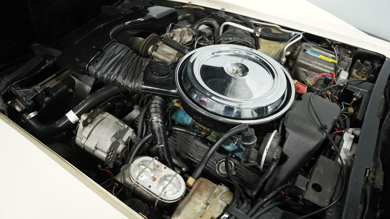 1981 Chevrolet Corvette