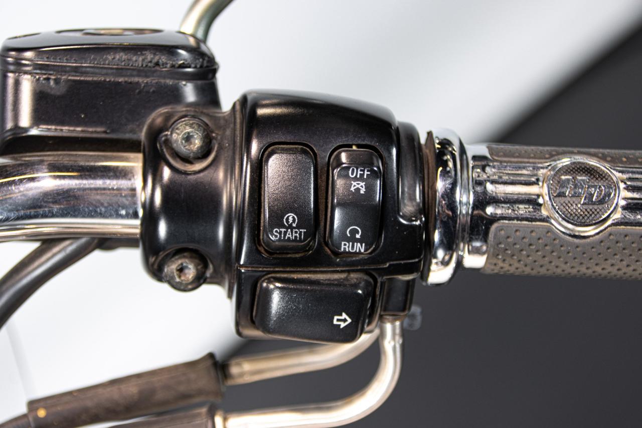 2003 Harley Davidson SOFTAIL HERITAGE 100th&deg; ANNIVERSARY