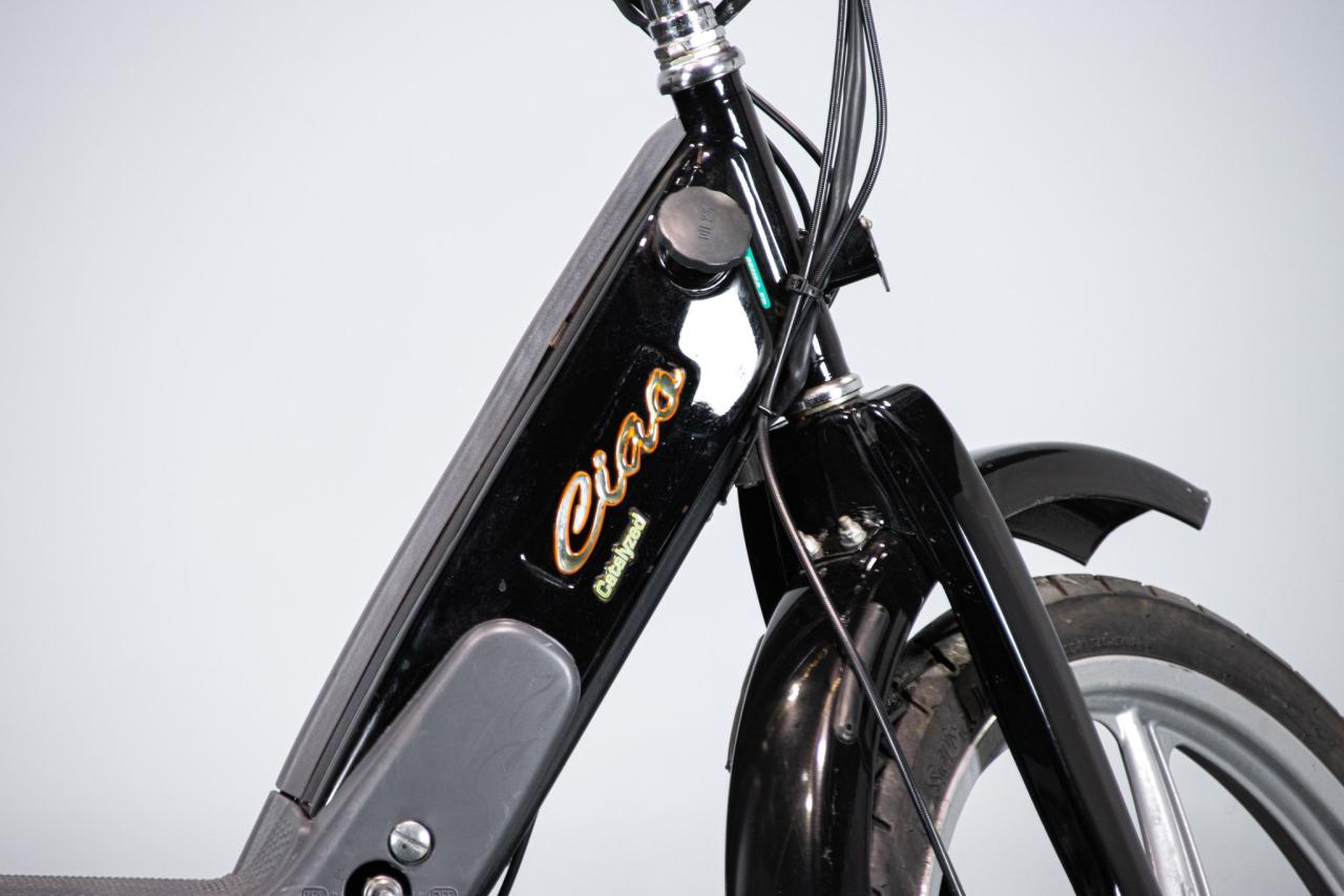 2002 Piaggio CIAO PX CATALYZED