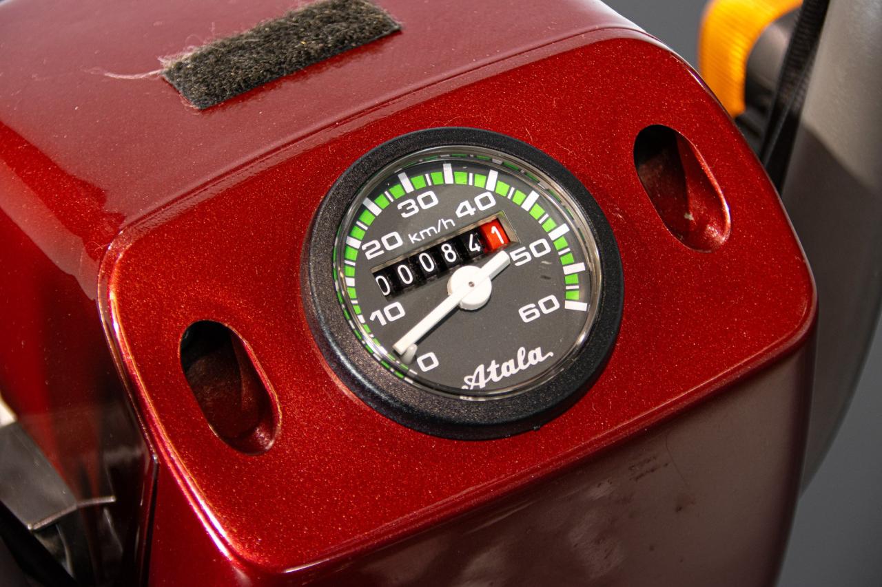 2011 Atala ATALA GREEN&nbsp;LF 2M