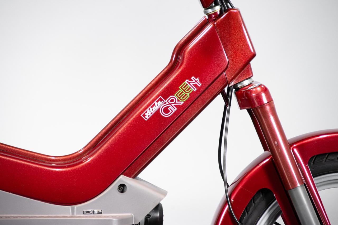 2011 Atala ATALA GREEN&nbsp;LF 2M