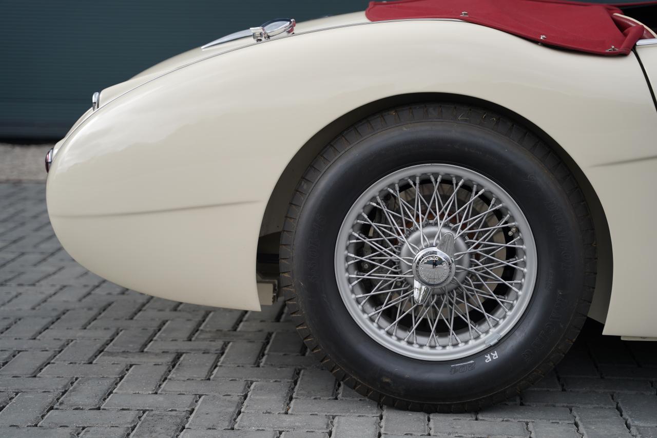 1958 Austin - Healey 100-6 M BN6