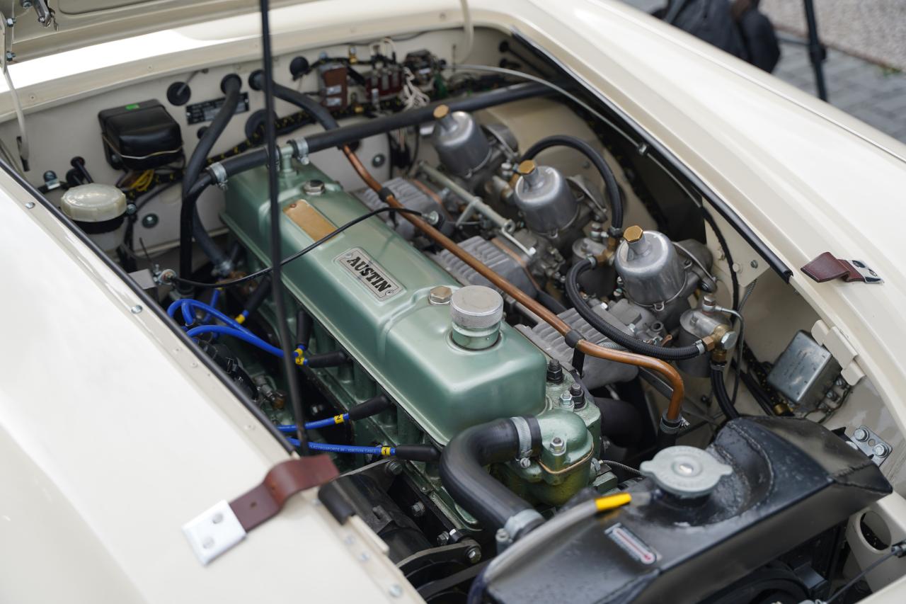 1958 Austin - Healey 100-6 M BN6