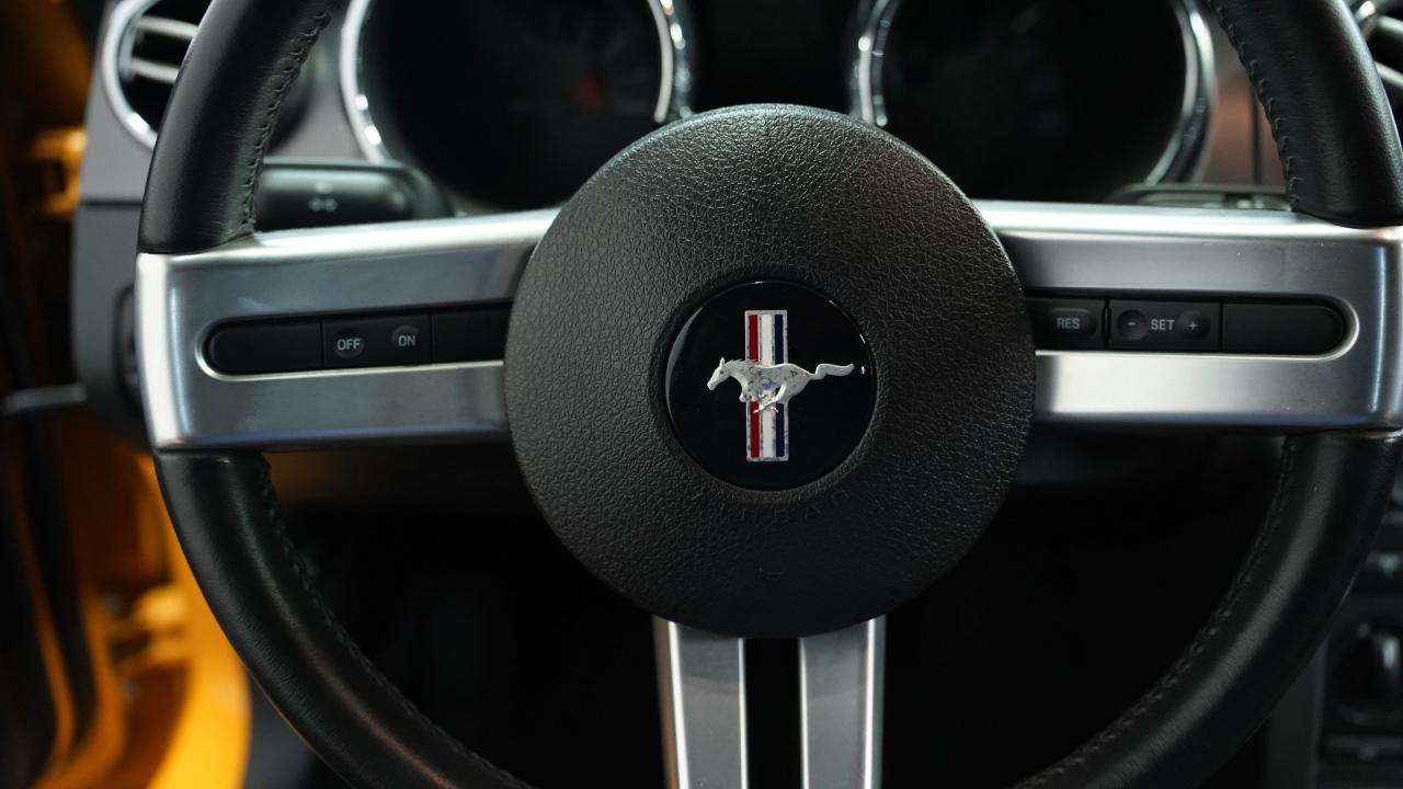 2007 Ford Mustang GT Deluxe