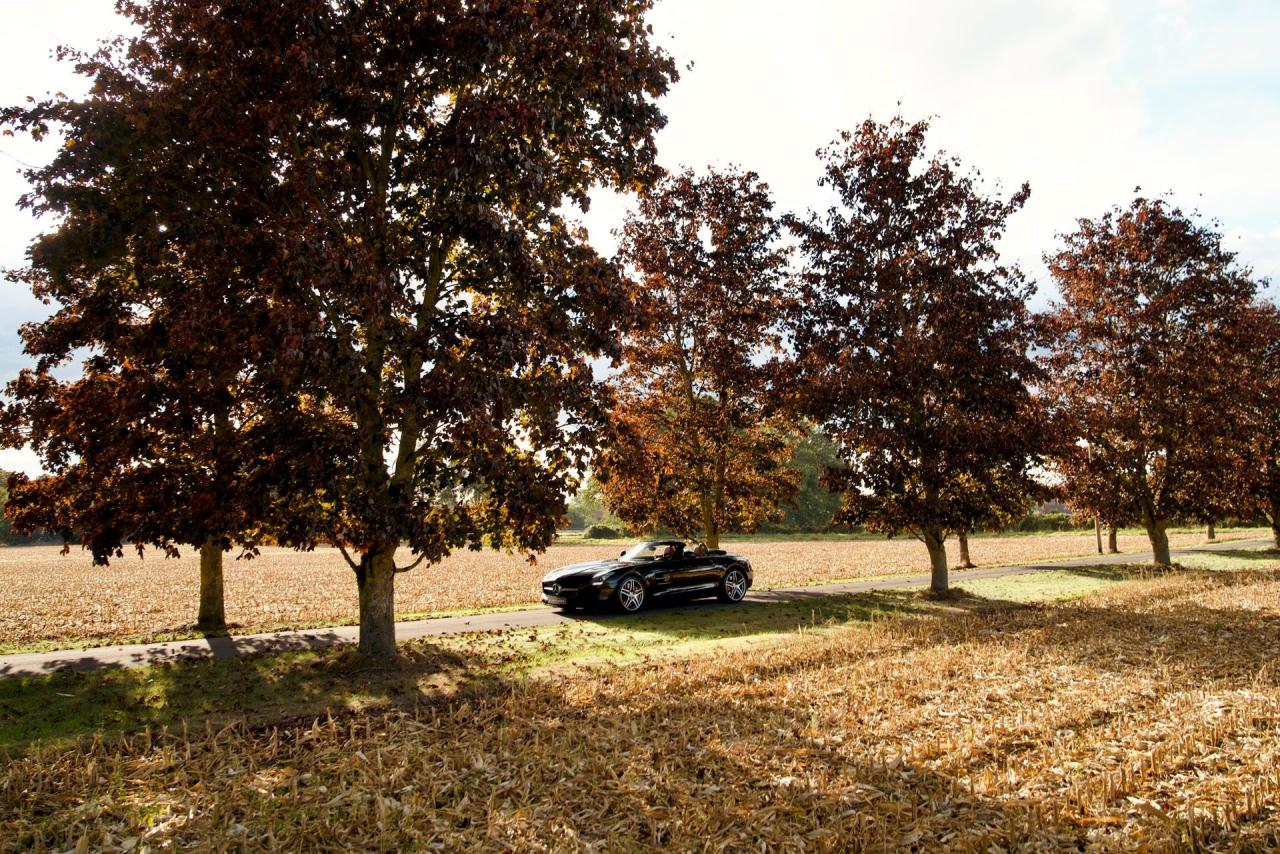 2012 Mercedes - Benz SLS AMG Roadster