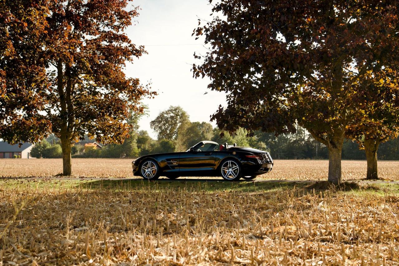 2012 Mercedes - Benz SLS AMG Roadster