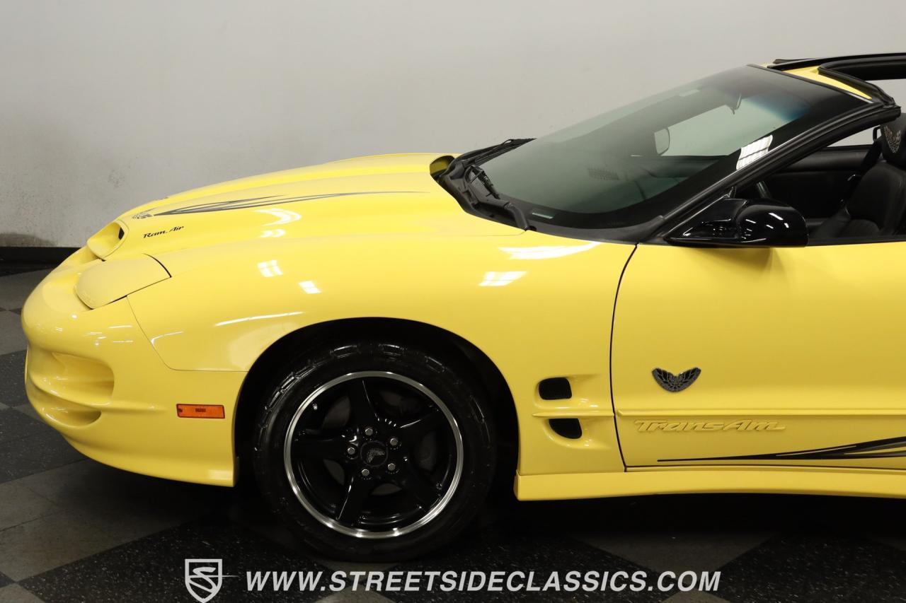 2002 Pontiac Firebird Trans Am WS6 Collectors Edition