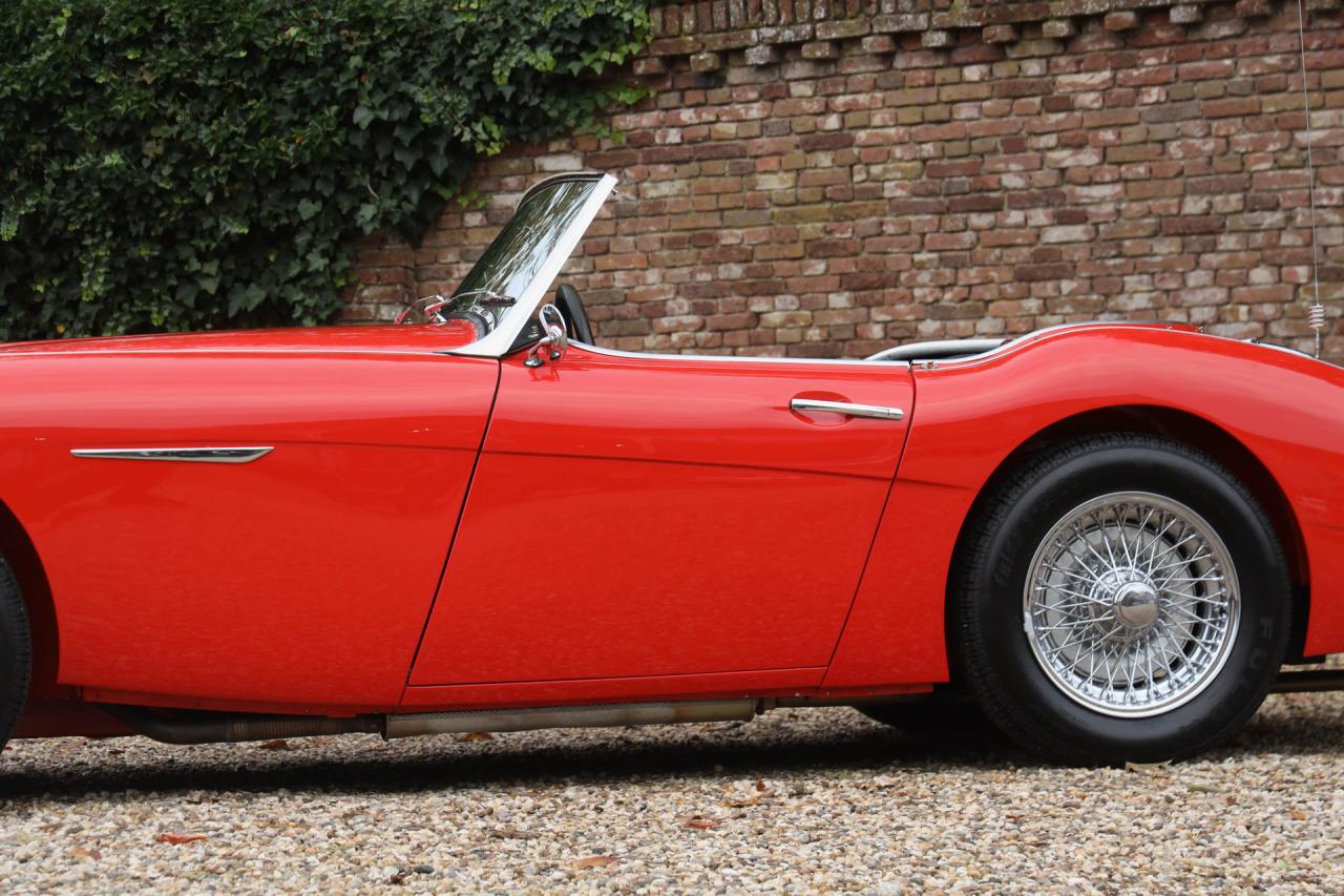 1959 Austin - Healey 100/6 &ldquo;A fast tour-special&rdquo;