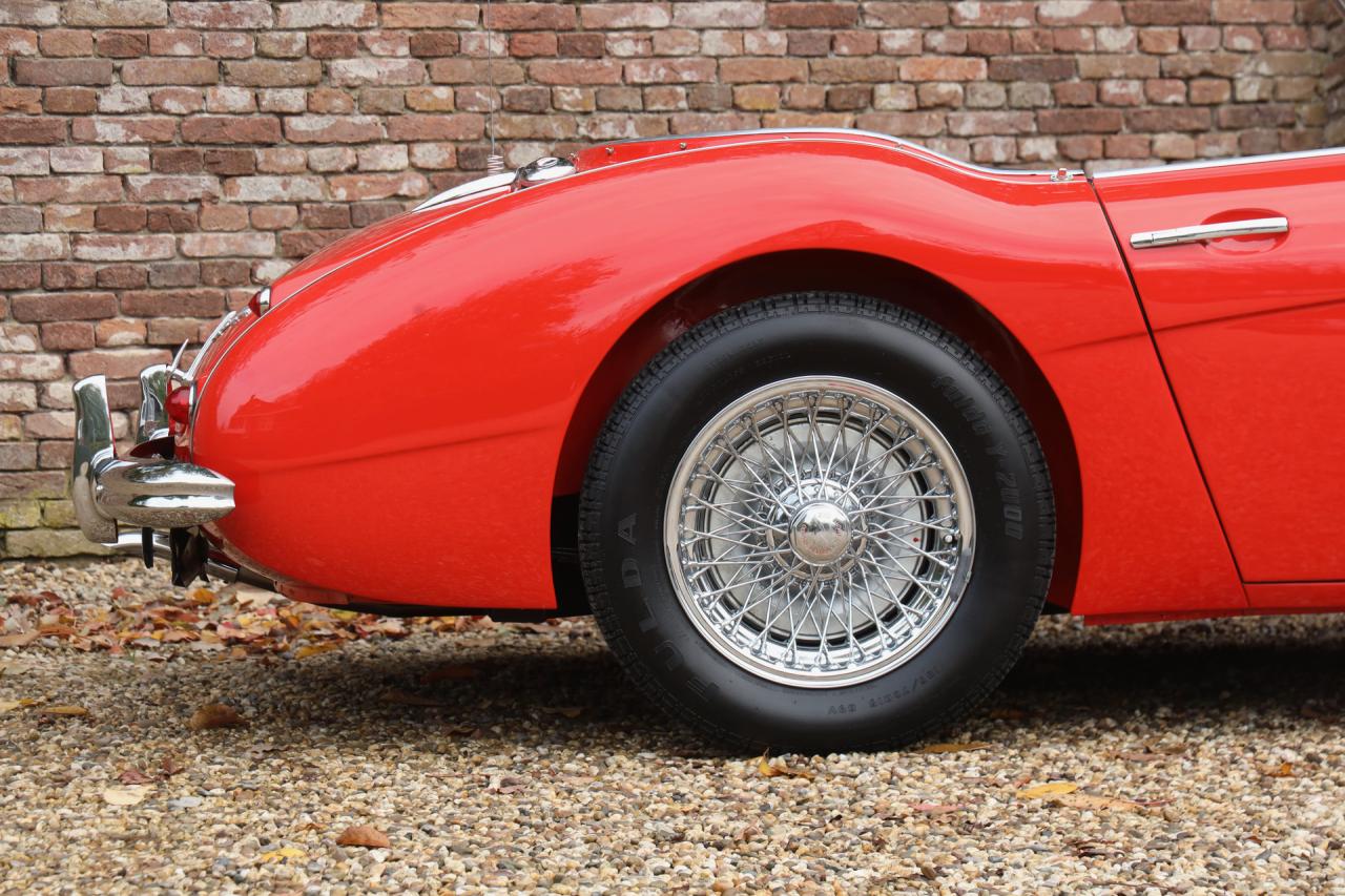 1959 Austin - Healey 100/6 &ldquo;A fast tour-special&rdquo;