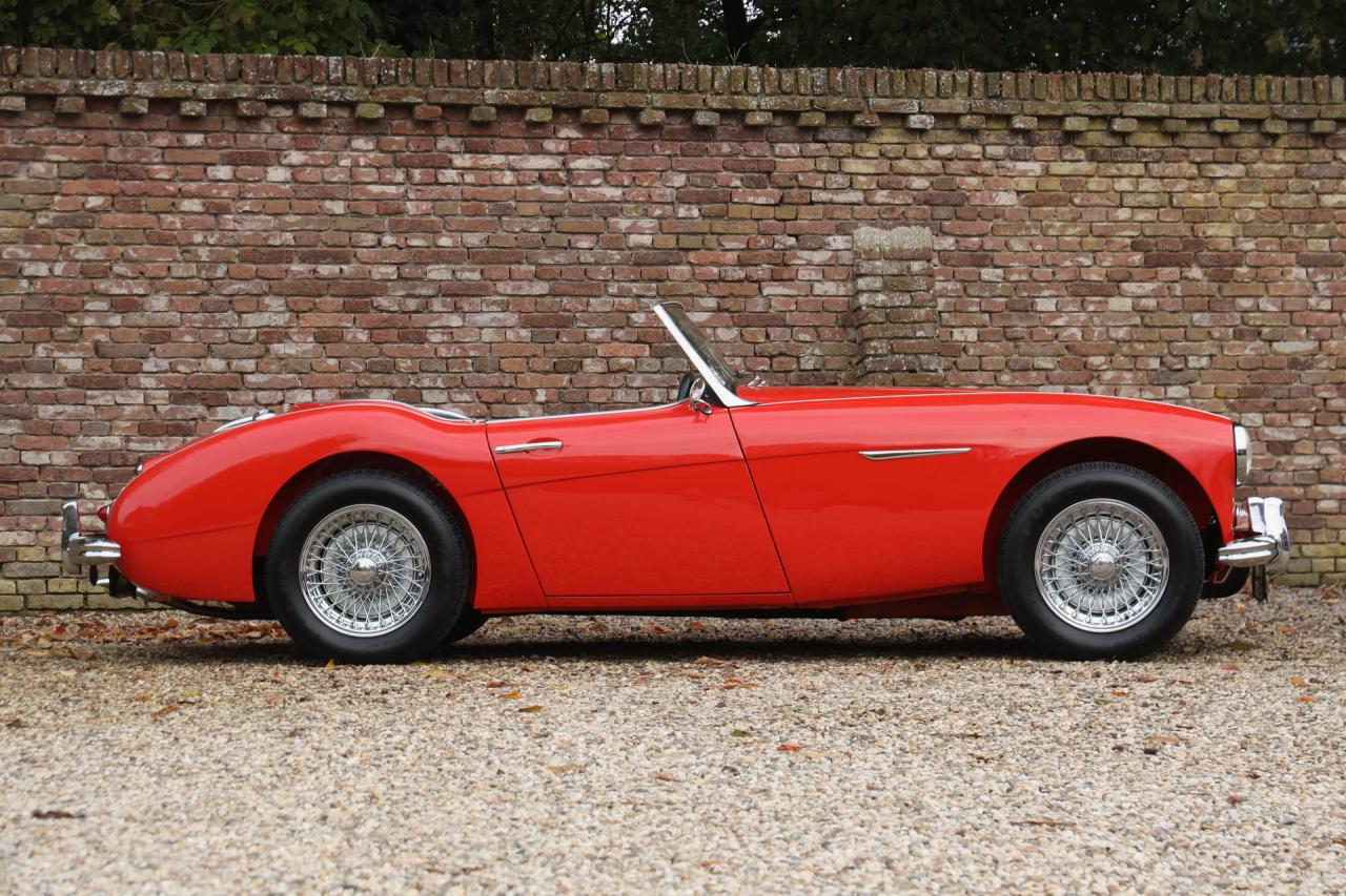 1959 Austin - Healey 100/6 &ldquo;A fast tour-special&rdquo;