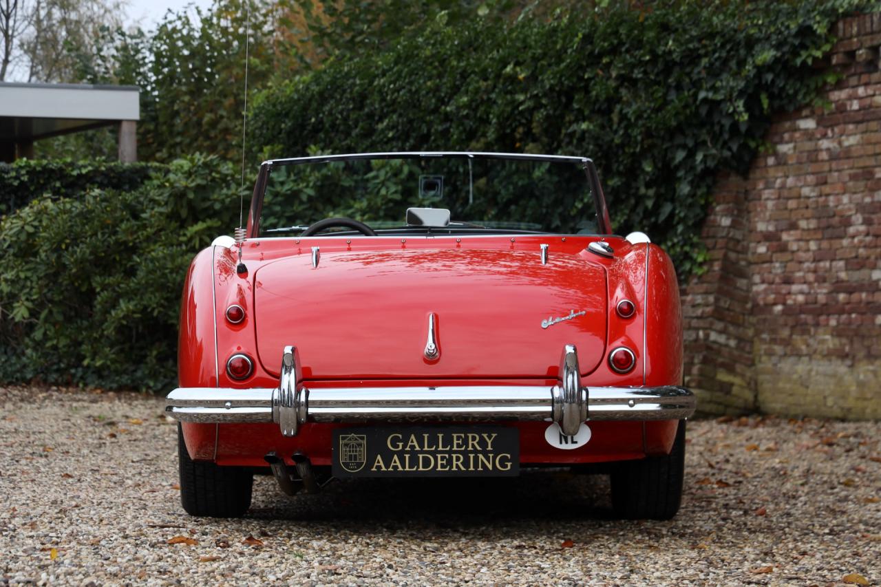 1959 Austin - Healey 100/6 &ldquo;A fast tour-special&rdquo;