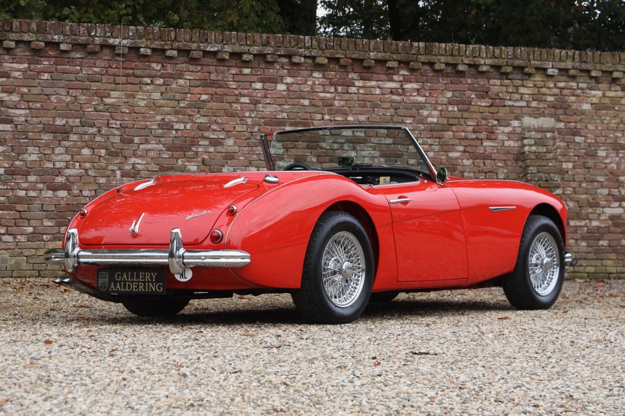 1959 Austin - Healey 100/6 &ldquo;A fast tour-special&rdquo;