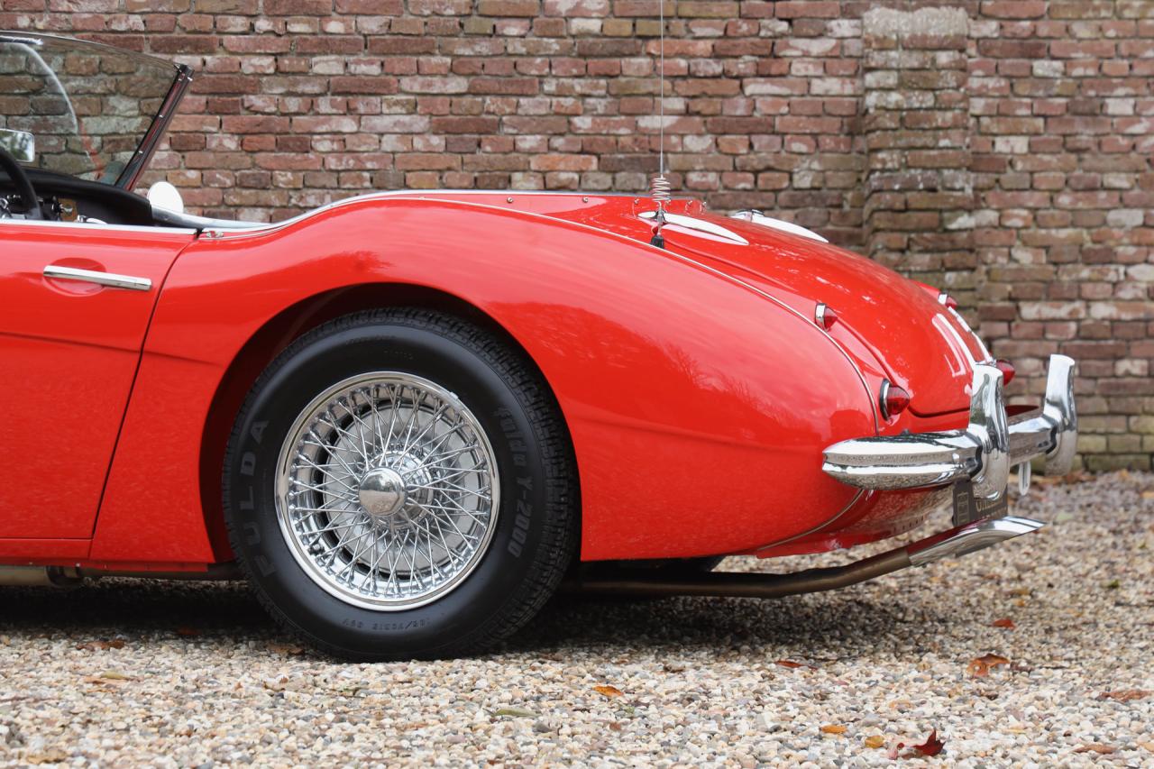 1959 Austin - Healey 100/6 &ldquo;A fast tour-special&rdquo;