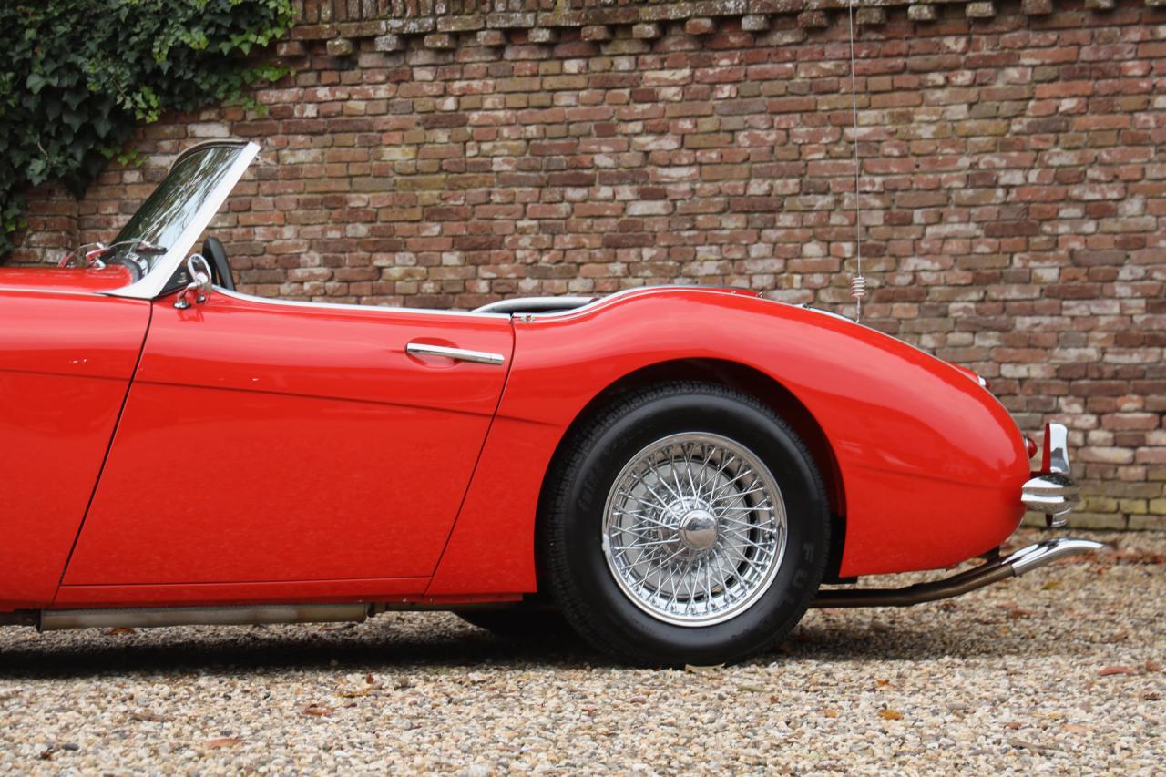 1959 Austin - Healey 100/6 &ldquo;A fast tour-special&rdquo;