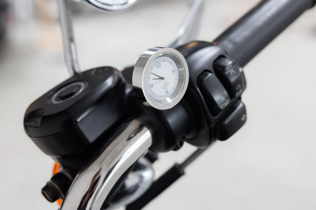 2006 Harley Davidson Sportster XL 1200 Custom