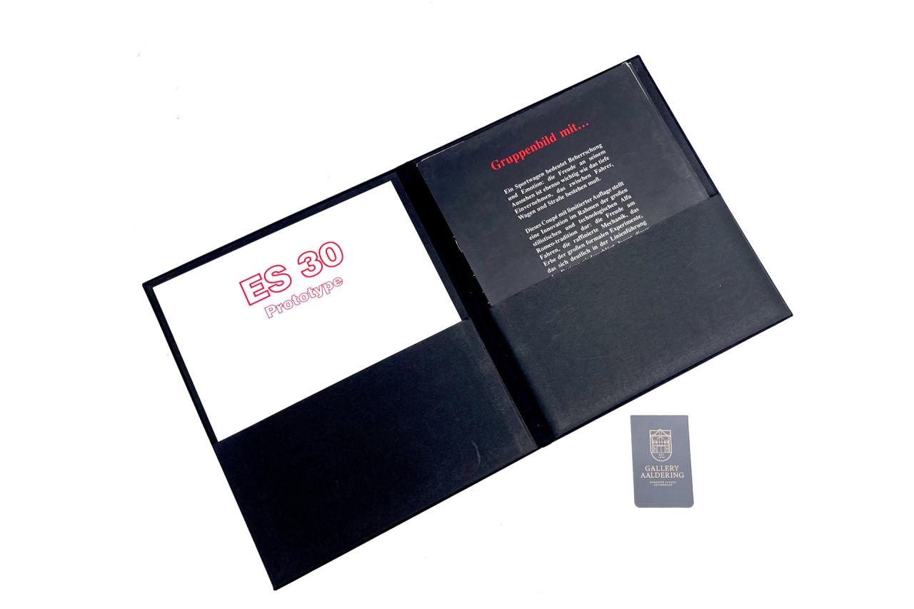 1991 Alfa Romeo SZ &ldquo;Il Mostro 0511&rdquo;