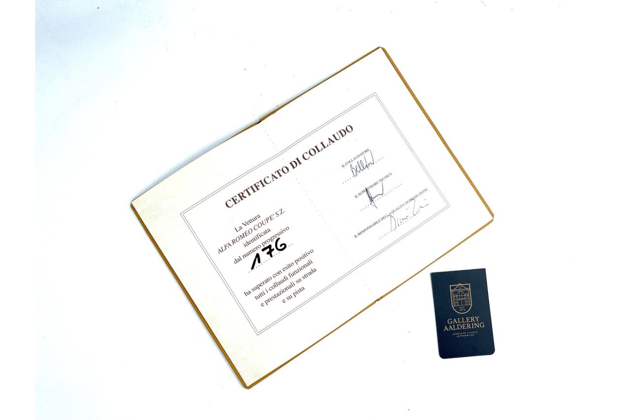 1991 Alfa Romeo SZ &ldquo;Il mostro 0843&rdquo;