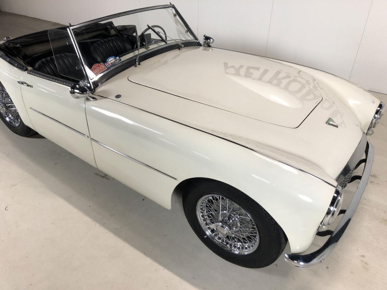 1954 Swallow Doretti