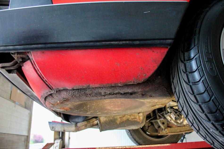 1985 Alfa Romeo Spider