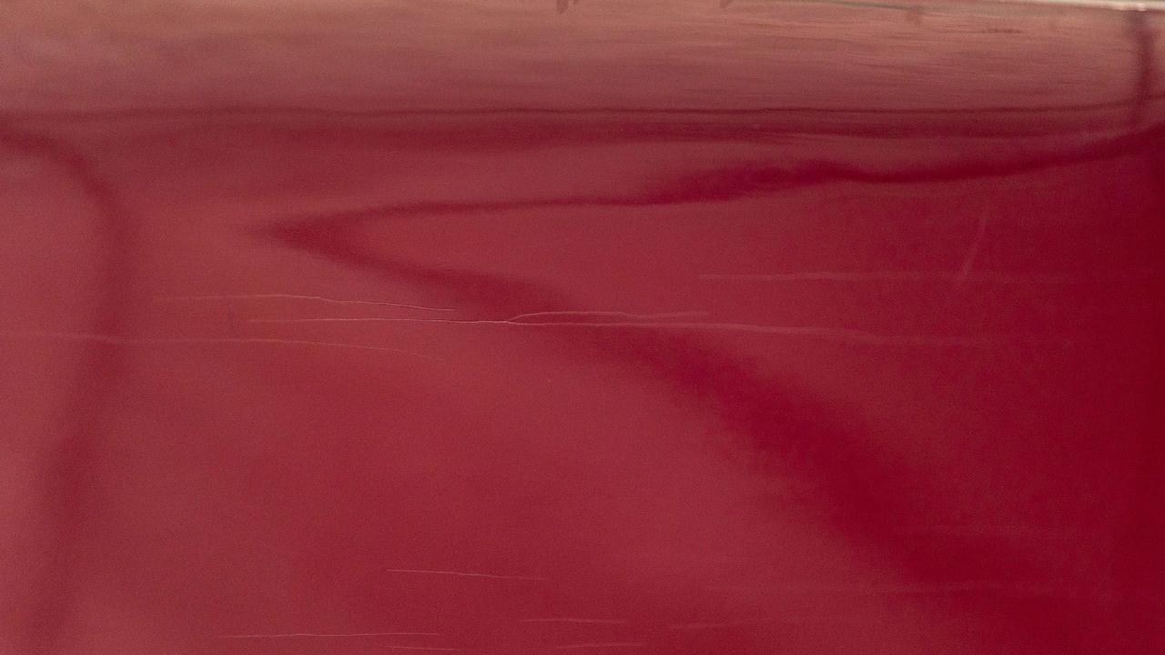 1910 Buick Model 17 Touring