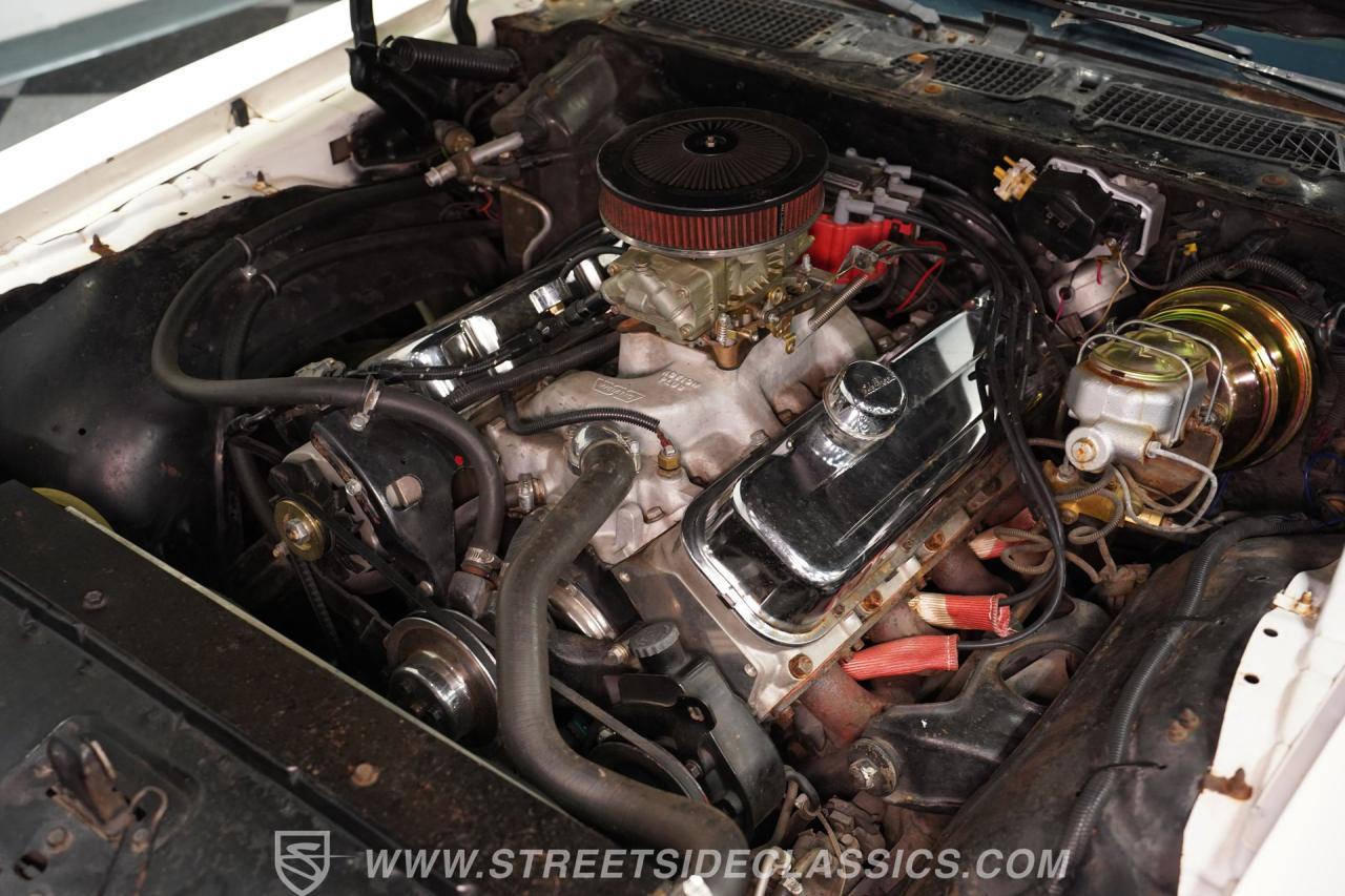 1981 Pontiac Firebird Trans Am SE