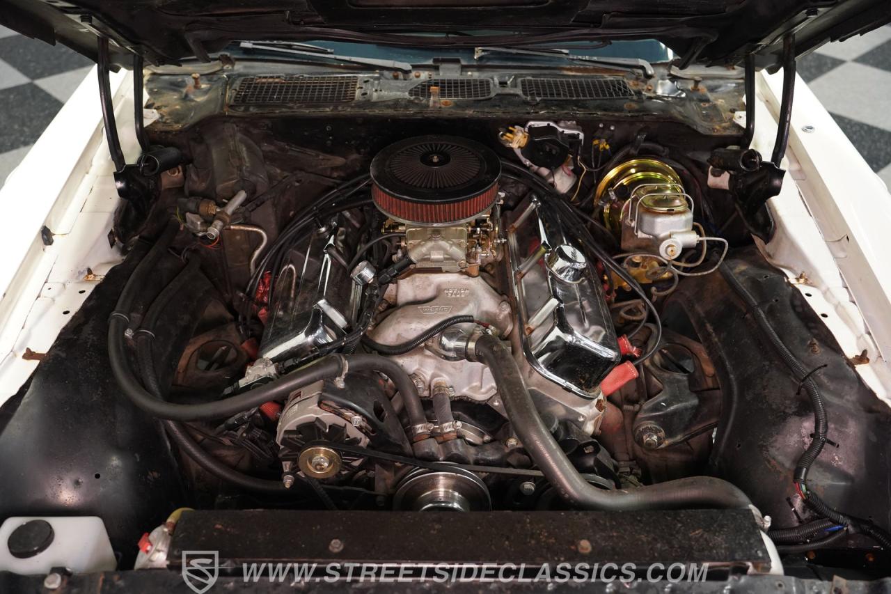 1981 Pontiac Firebird Trans Am SE