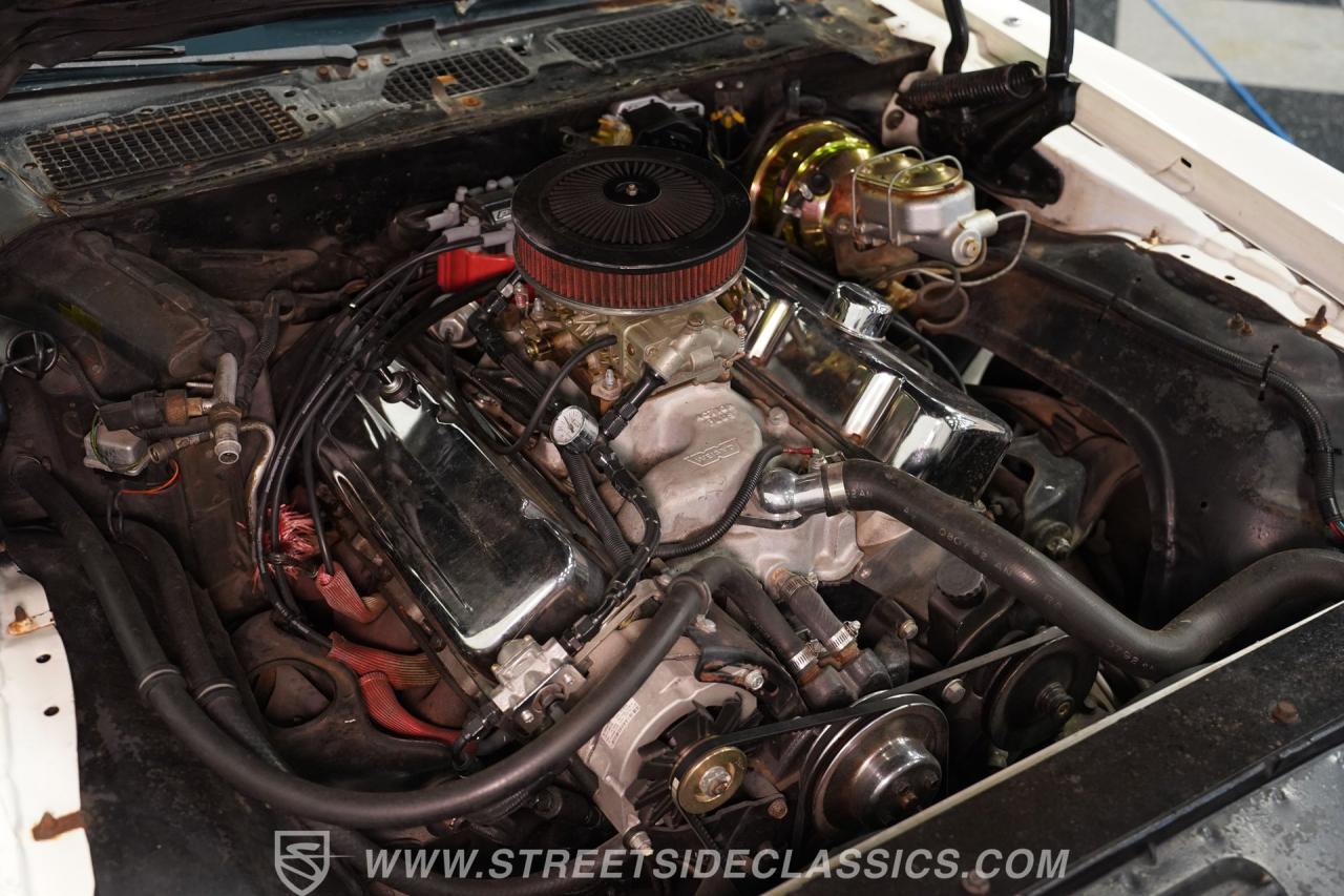 1981 Pontiac Firebird Trans Am SE