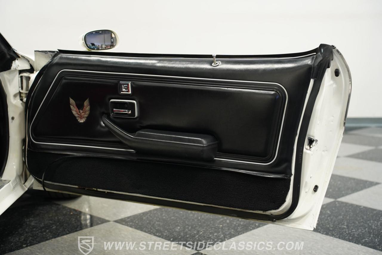 1981 Pontiac Firebird Trans Am SE