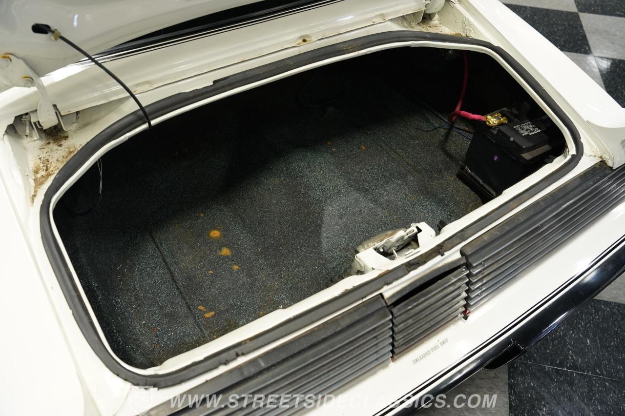 1981 Pontiac Firebird Trans Am SE